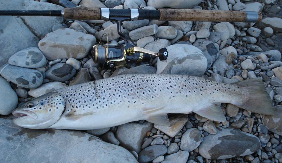 pêche rivière ubaye