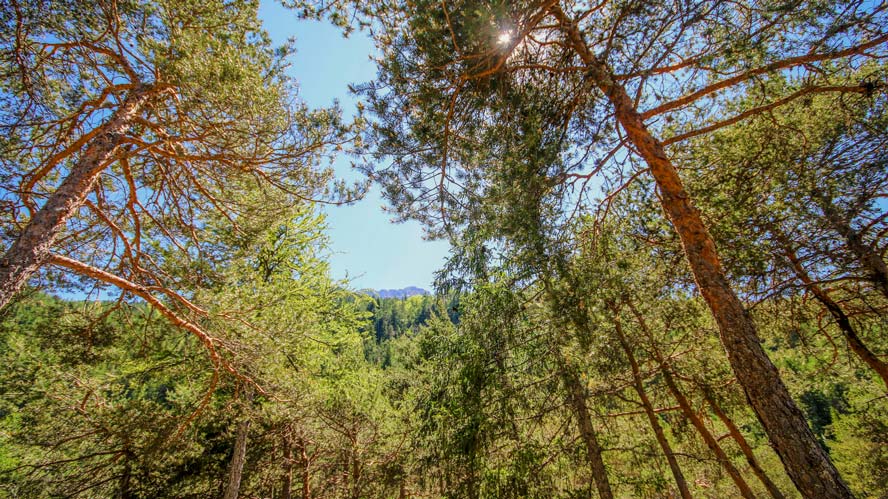 respect environnement barcelonnette